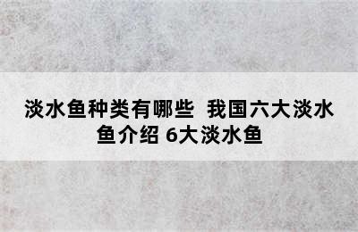 淡水鱼种类有哪些  我国六大淡水鱼介绍 6大淡水鱼